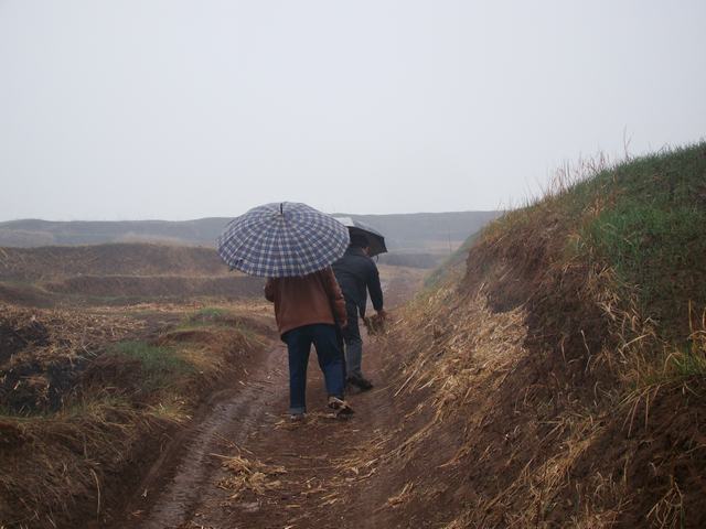 DSC03001.JPG