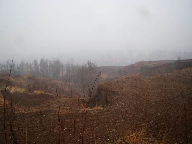 DSC03008.JPG