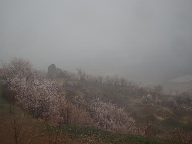 DSC03011.JPG