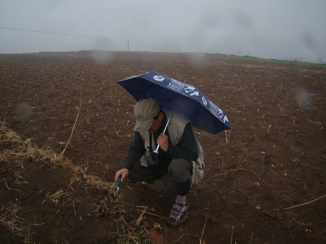 DSC03028.JPG