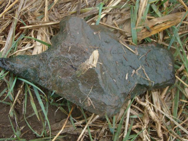 DSC03025.JPG