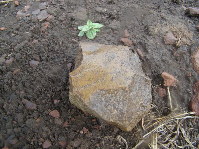 DSC03035.JPG