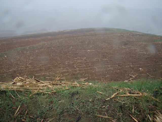 DSC03032.JPG
