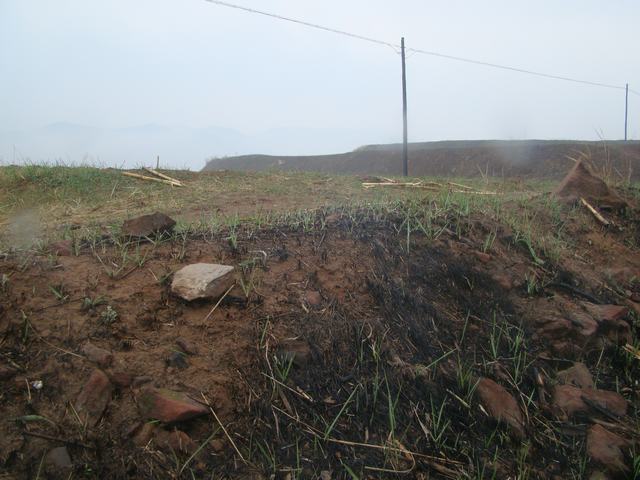 DSC03064.JPG