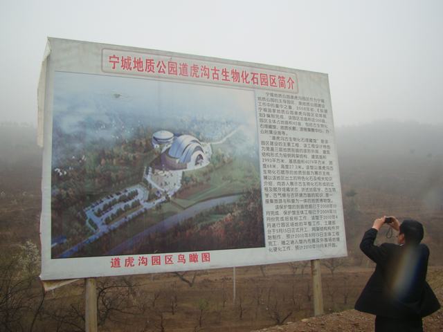 DSC03290.JPG