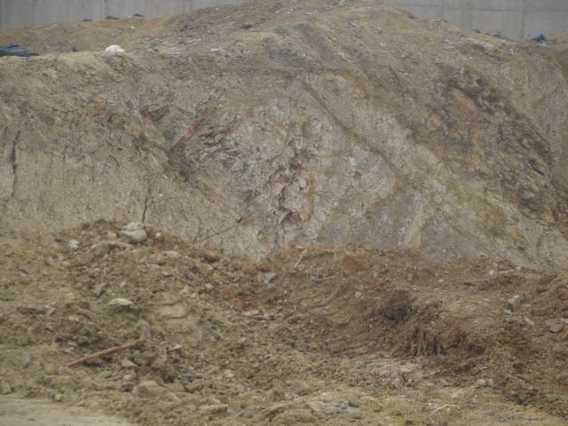 DSC03302.JPG