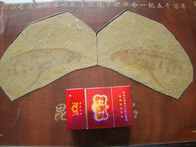 DSC03217.JPG