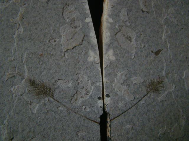 DSC03281.JPG