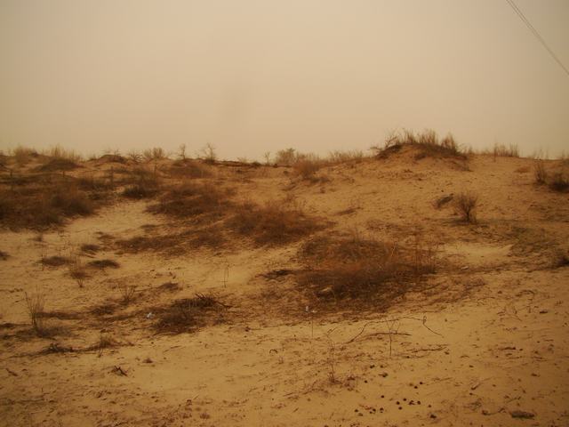 DSC03553.JPG