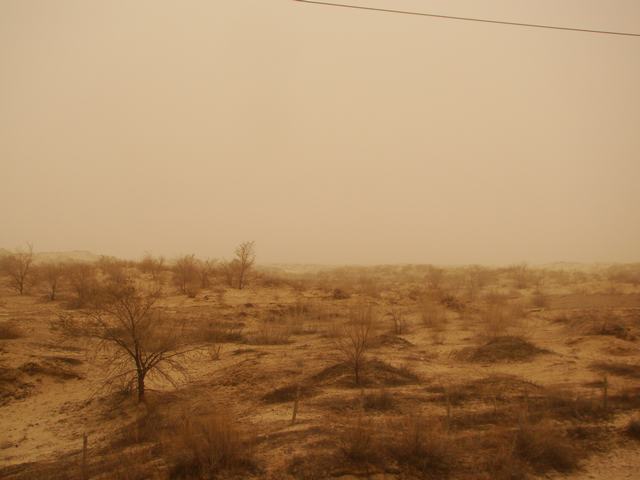 DSC03547.JPG