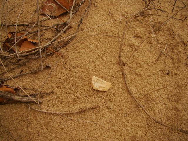 DSC03557.JPG