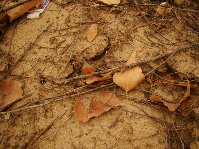 DSC03572.JPG