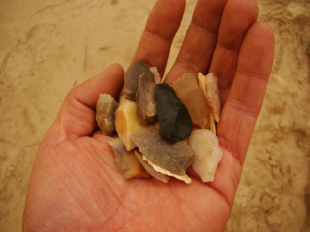 DSC03578.JPG