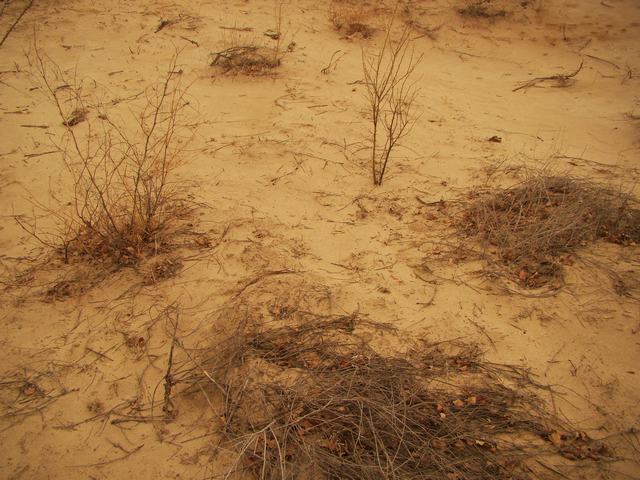 DSC03580.JPG