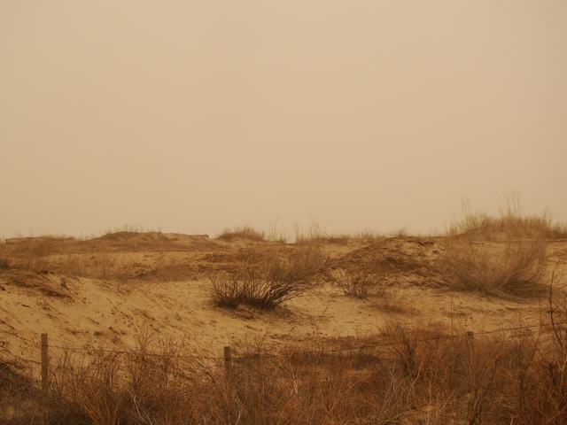 DSC03583.JPG