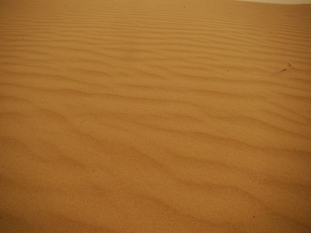 DSC03657.JPG