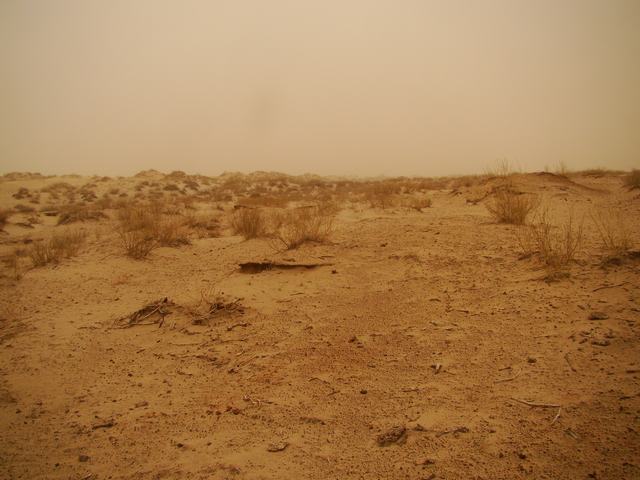 DSC03653.JPG