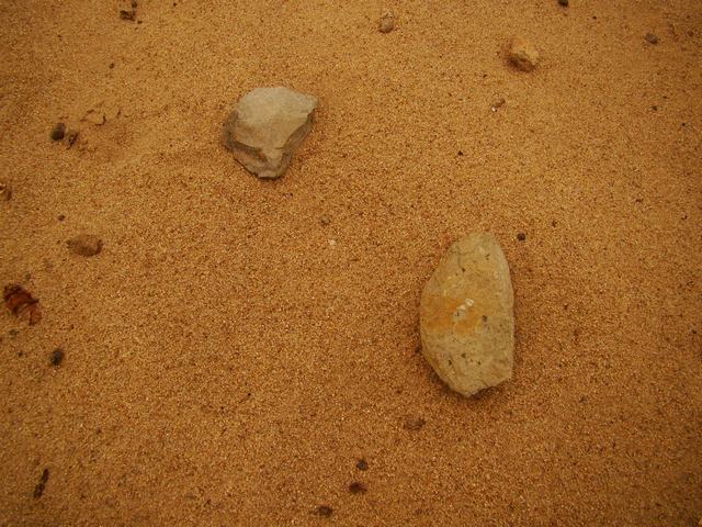 DSC03661.JPG