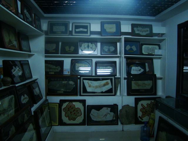 DSC03744.JPG
