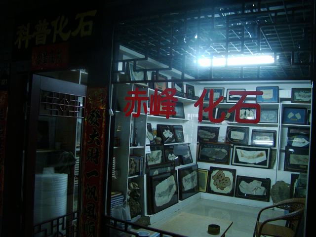 DSC03746.JPG