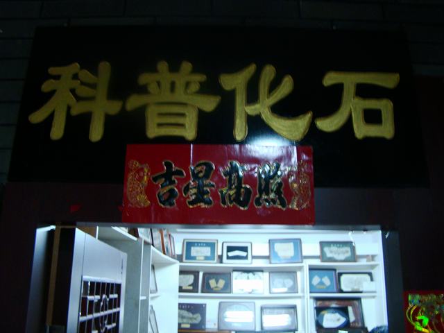DSC03742.JPG