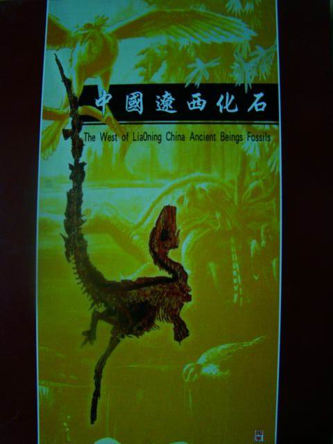 DSC03743.JPG