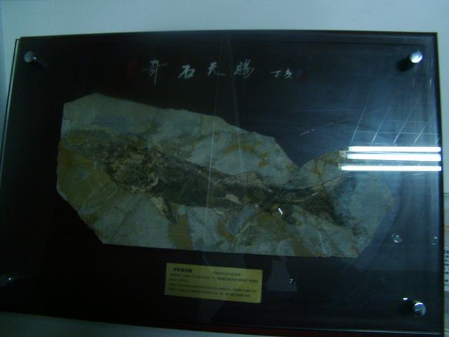 DSC03748.JPG