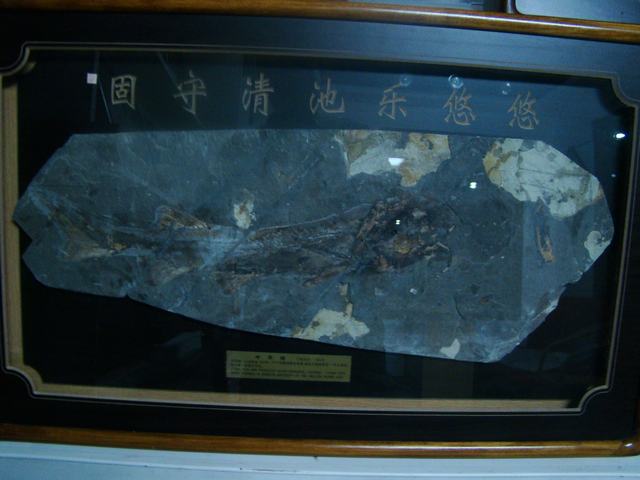DSC03747.JPG