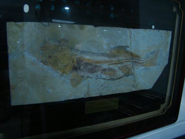 DSC03758.JPG