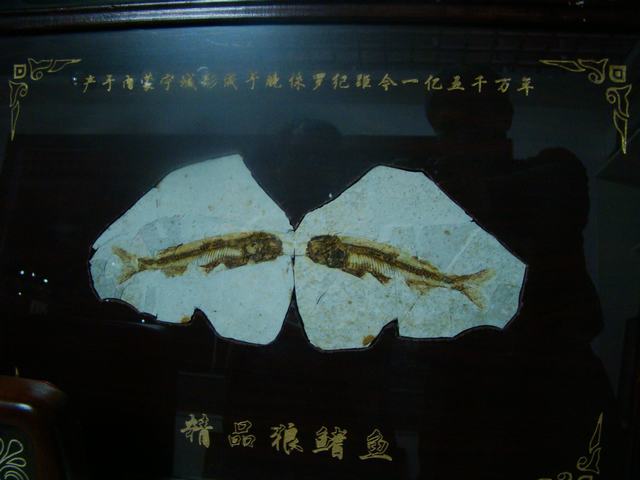 DSC03766.JPG