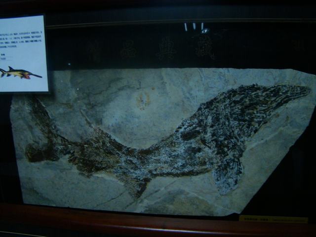 DSC03765.JPG