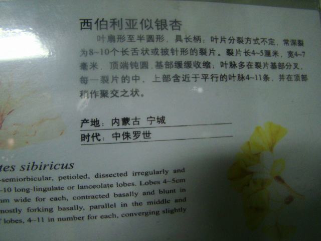DSC03756.JPG
