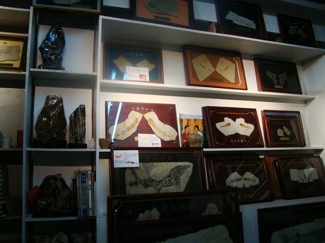 DSC03792.JPG