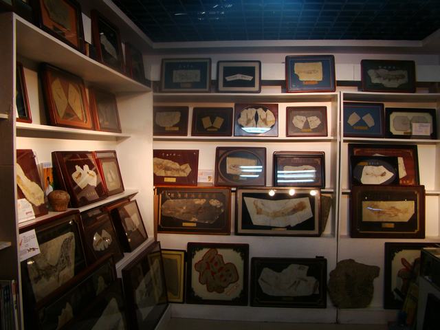 DSC03787.JPG