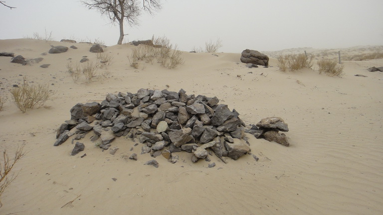 DSC00745_调整大小.JPG