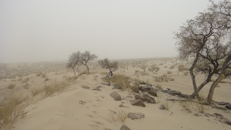 DSC00743_调整大小.JPG