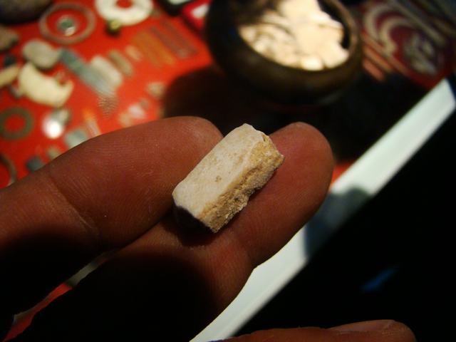 DSC03853.JPG