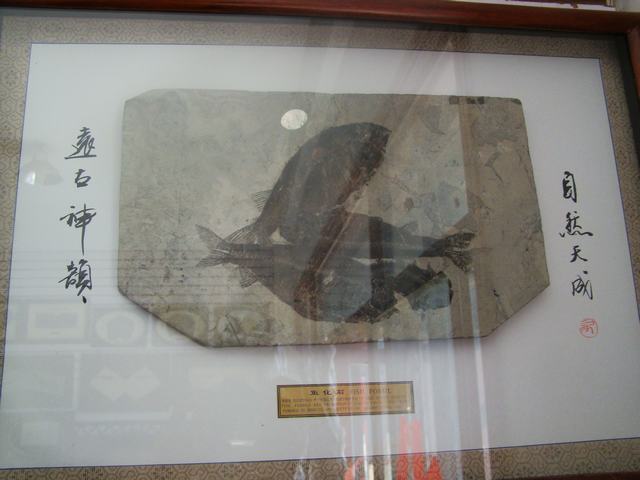 DSC03923.JPG