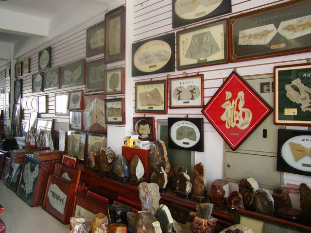 DSC03922.JPG