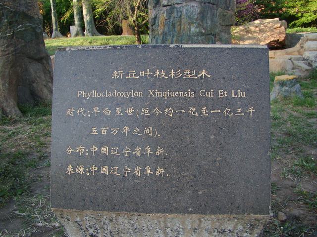DSC04123.JPG