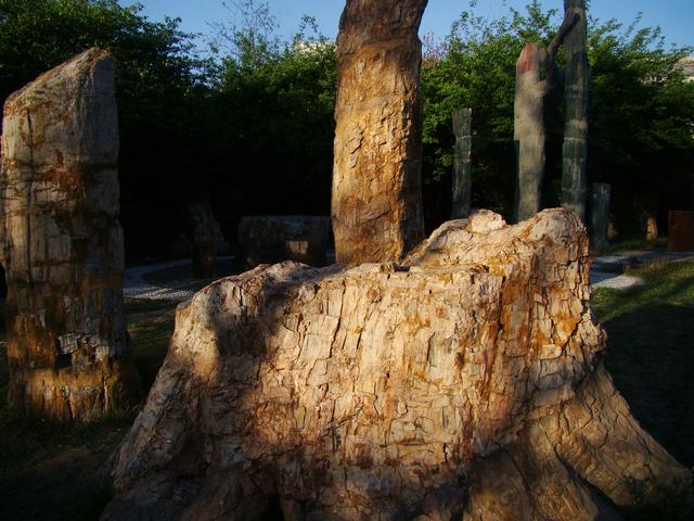DSC04133.JPG