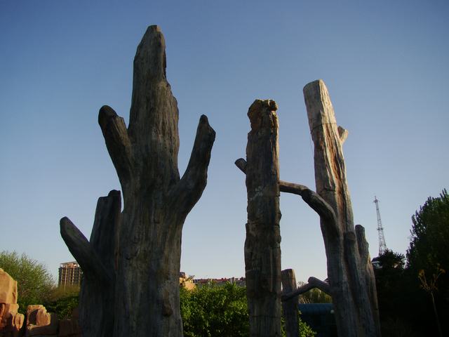 DSC04135.JPG