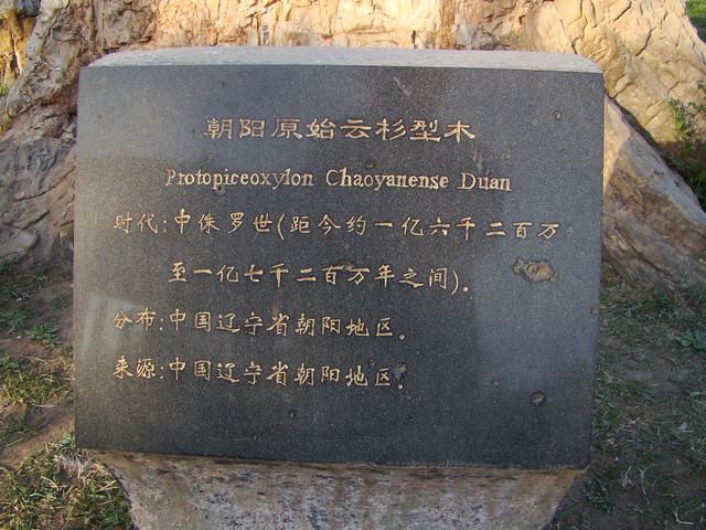 DSC04132.JPG