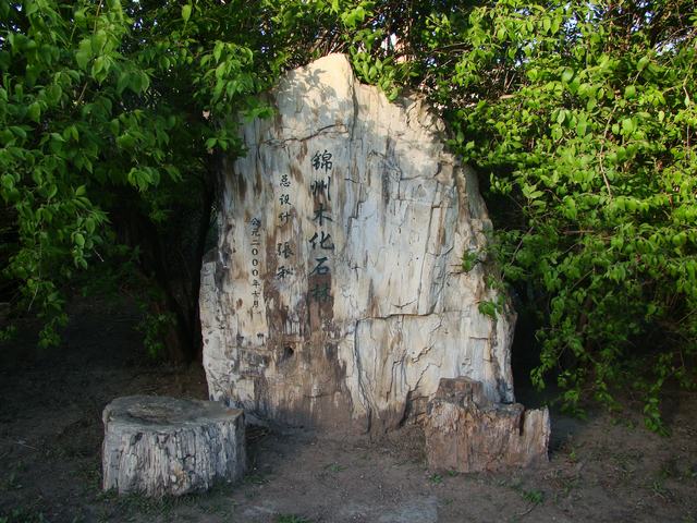DSC04140.JPG