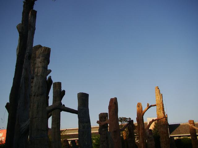 DSC04141.JPG