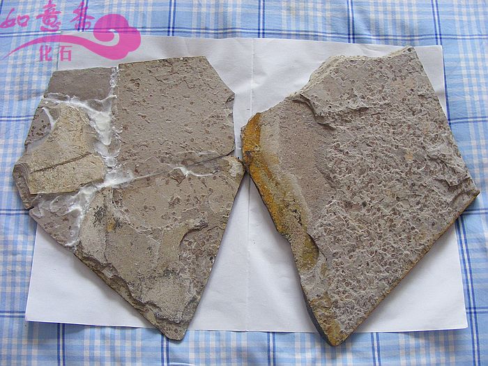 DSCF2103.jpg