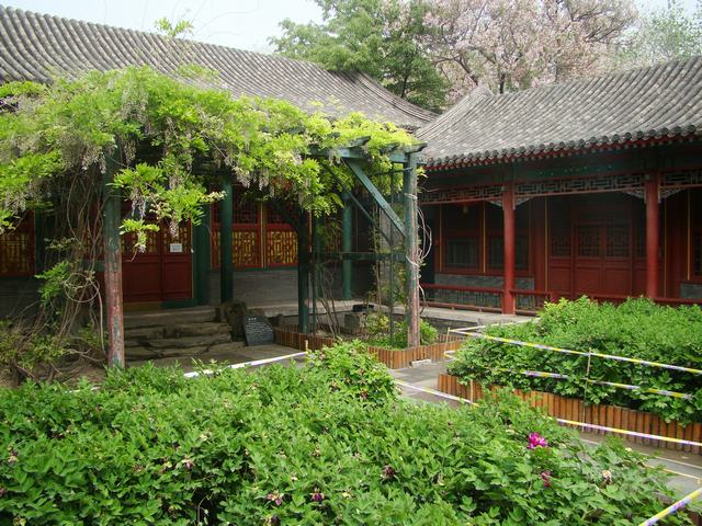 DSC05242.JPG