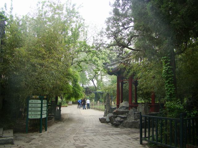 DSC05241.JPG