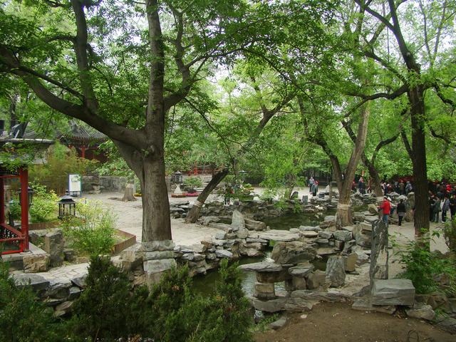 DSC05231.JPG