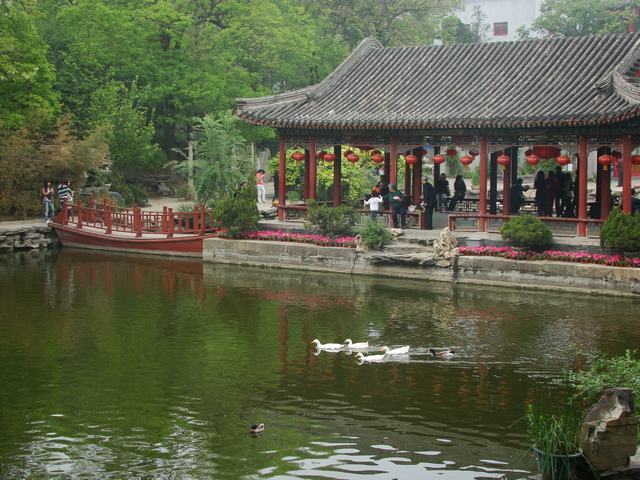 DSC05230.JPG